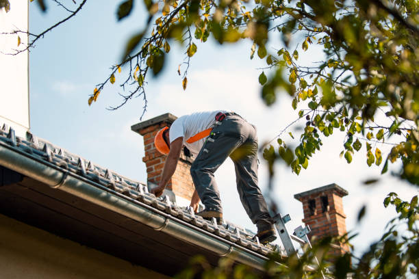 Trusted Saline, MI Roofing Service Experts