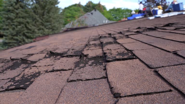 Best Roof Leak Repair  in Saline, MI