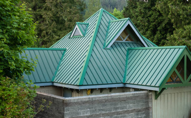 Best Roof Moss and Algae Removal  in Saline, MI