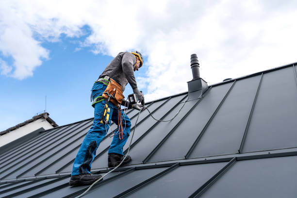 Best Roof Insulation Installation  in Saline, MI